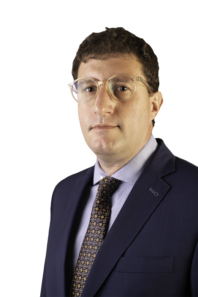 NICOLAS ZAMBELLI